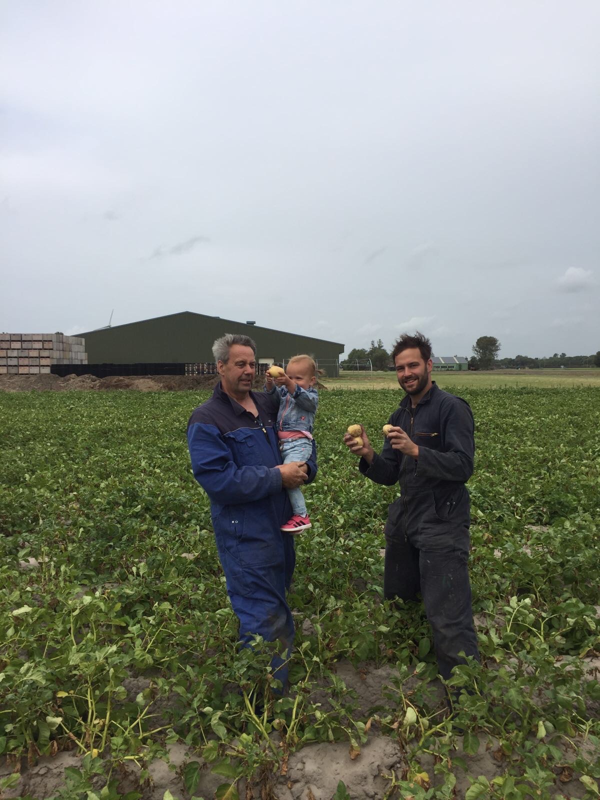 Familiebedrijf STAMAGRI — Milo en Zico Stam