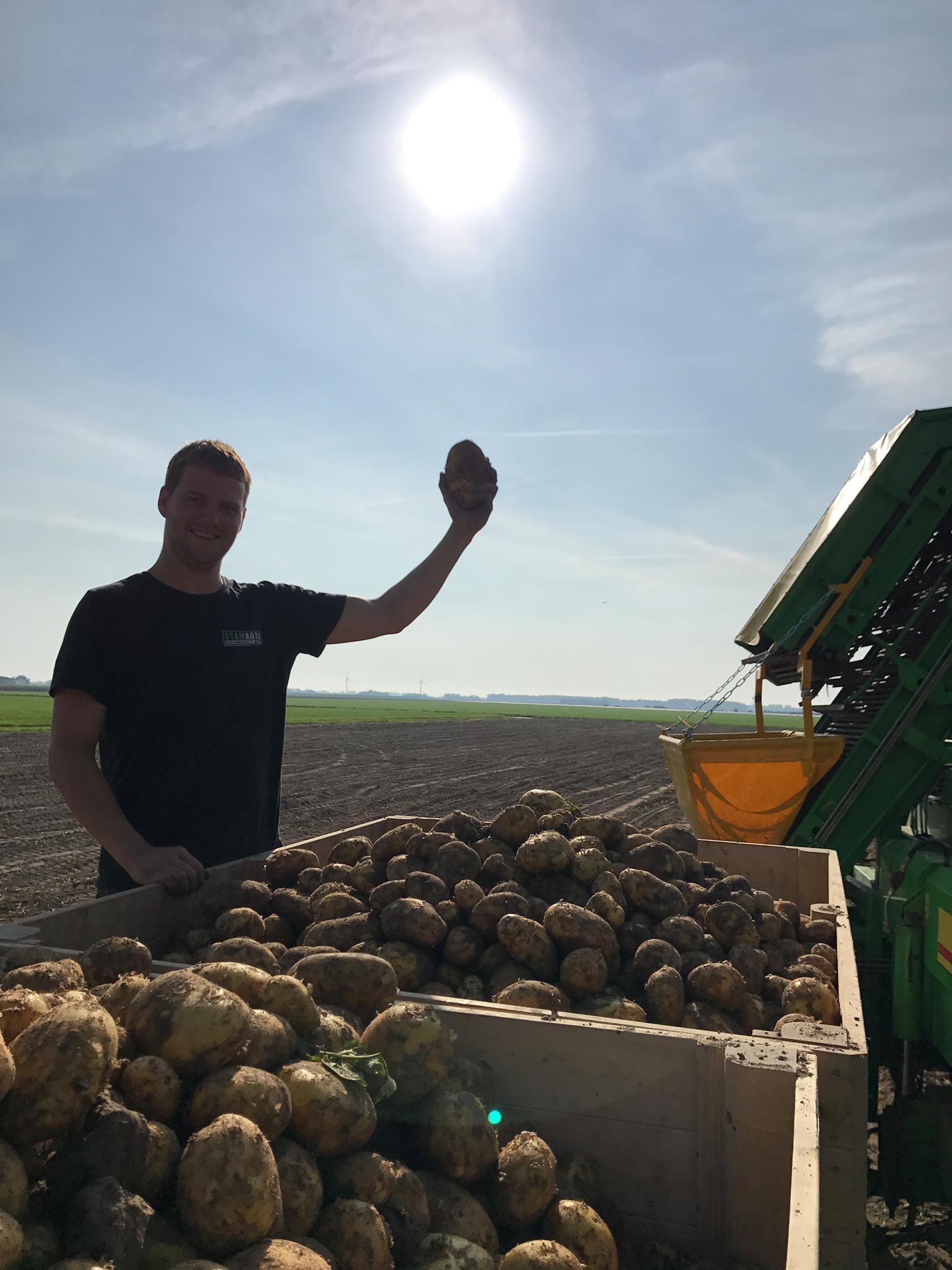 Stam Friet — verse friet van eigen teelt